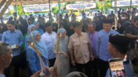 Menteri Desa PDT Yandri Susanto bersama Bupati Serang Ratu Rachmatuzakiyah menghadiri penyembelihan 1.000 hewan kurban dalam program percontohan nasional tata kelola hewan kurban di Kabupaten Serang
