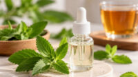 Ilustrasi Beeru Stevia. (Foto: Medcom.id)